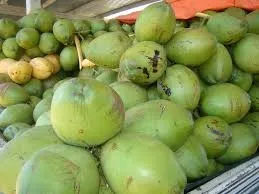 Cocô verde