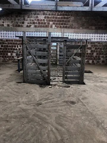 Balança para gado 