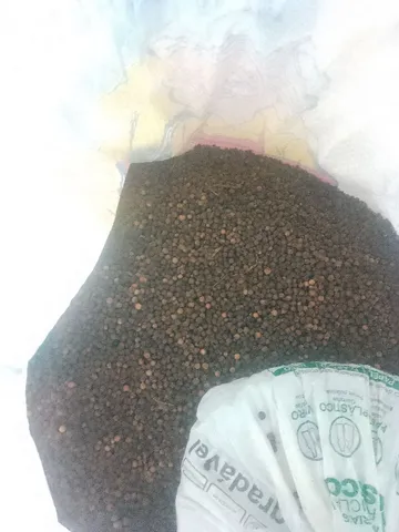 *PIMENTA DO REINO*