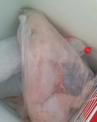 Leitoa caipira