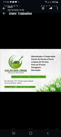 Faco limpeza de Jardim 