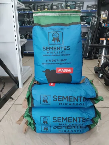Sementes para pastagem Andropogon Massai Mombaça Braquiaria 