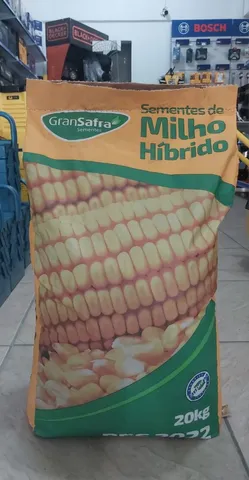 Sementes de Milho e Sorgo para plantio é na Casa Da Semente