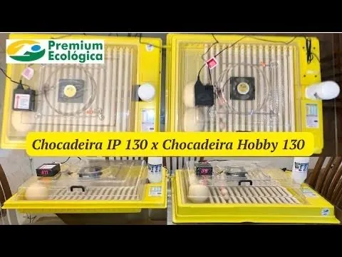 Manutenção e vendas de chocadeiras 
