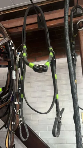 Produtisbpra cavalos 