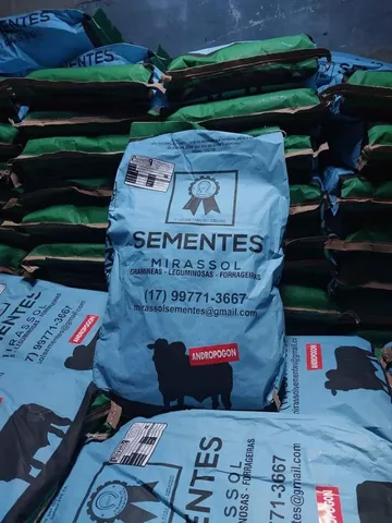 Semente de Andropogon 6kg Mirassol- Nova/Loja