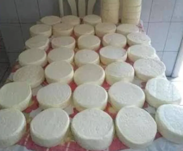 Queijo branco fresco 