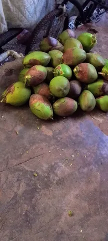 VENDO CÔCO 
