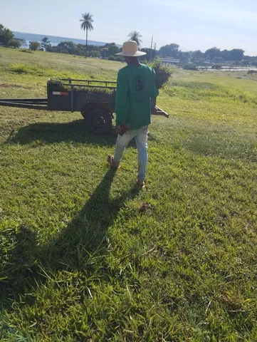 Grama apartir de 7 reais o metro plantado 