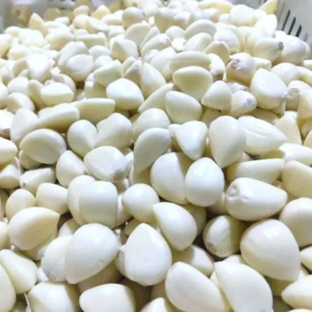 Alho descascado 10,00 kg