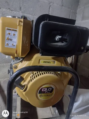 Vendo motor disel 13 cv com bomba acoplada auta vasão theb