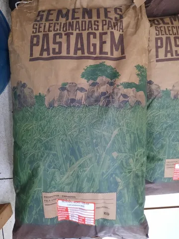 Sementes de Brachiaria - mais barata/kilo!