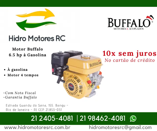 Motor 6.5hp