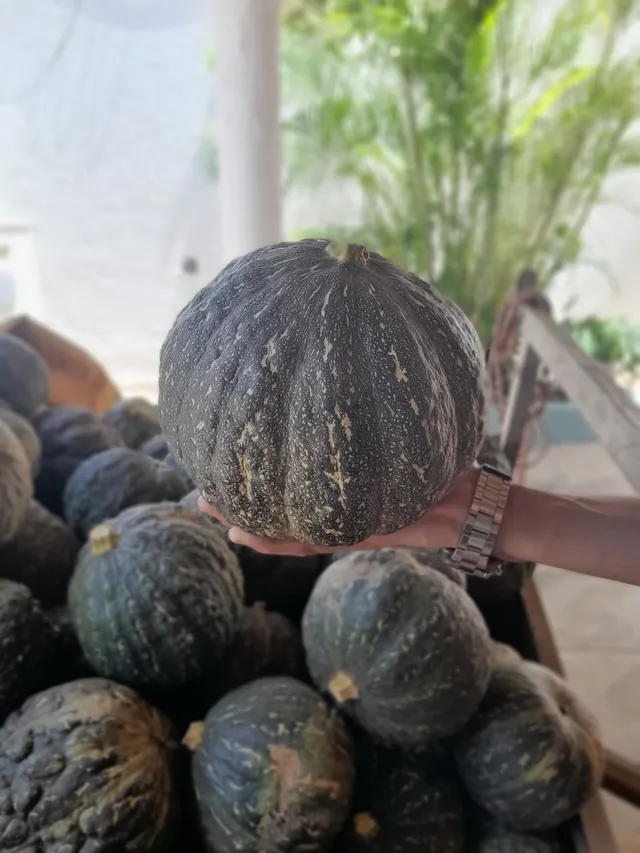 Abóbora japonesa