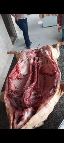 LEITÃO PARA O NATAL