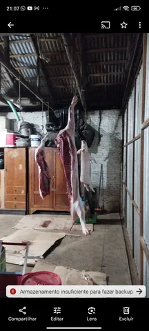 Leitao limpo 