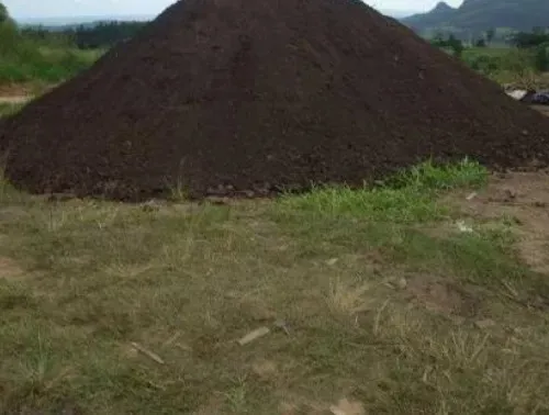 Terra preta adubada