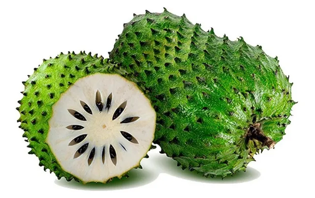 SEMENTES GRAVIOLA GIGANTE (50 sementes)