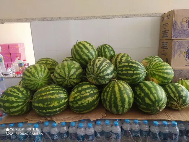 Vende-se Melancias .
