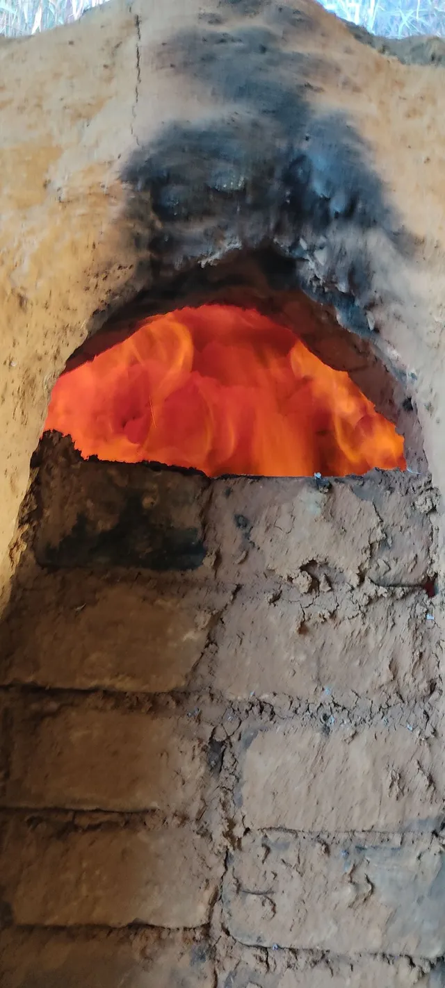 Carvão de eucalipto 