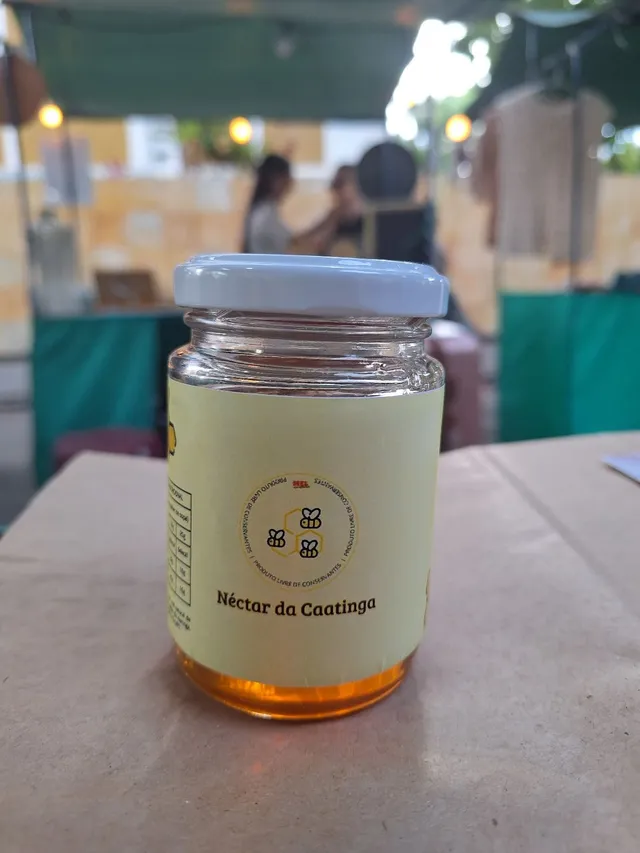 Mel Nectar da Caatinga Natural 200ml