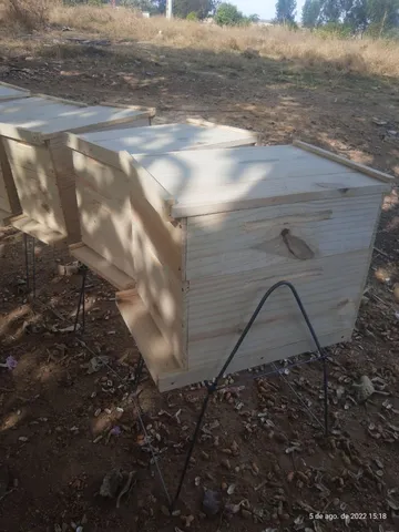 Caixas padrão longstroth feitas de pinus,sob demanda 