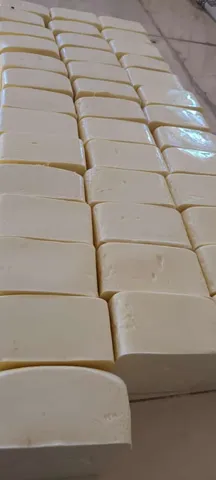 Queijo cozido tipo mussarela