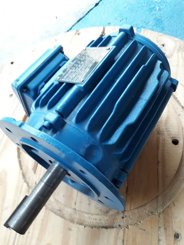 Motor elétrico trifásico 2 cv rpm 1125.