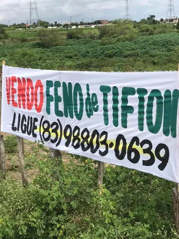 Vendo feno de tifton