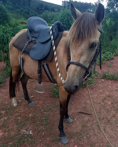 Egua mojando 