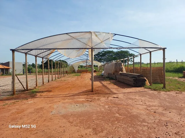 Estufa hortaliças e plantas em geral 