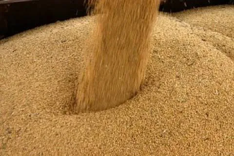 Farelo de soja e Quirela