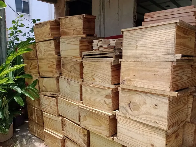 Caixa para Apicultura 