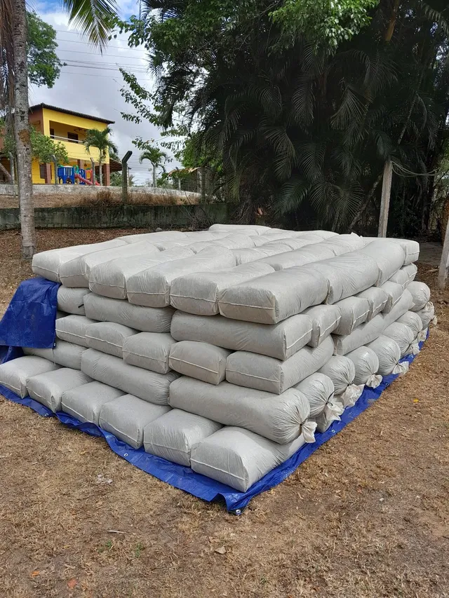 VENDO SILO DE CAPIM BRS CAPIAÇU ENCHIDO NA MAQUINA DE SILAGEM