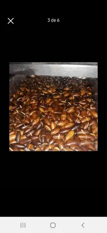 Castanha de Baru 
