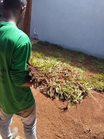 Grama apartir de 7 reais o metro plantado 