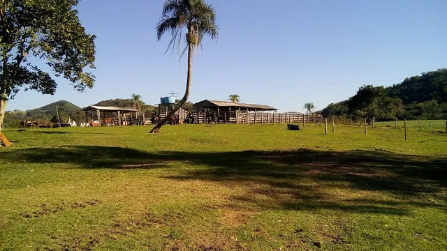 Arredondado Pasto Para AgroPecuária 