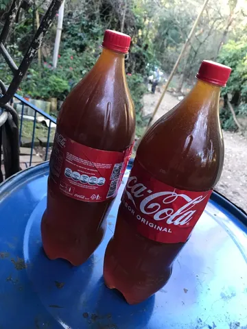 Mel de abelha 100% puro -2 litros 