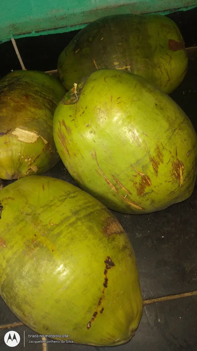 Vendo coco verde, gelado, custa 3,00 r$ pode ser 2por 5'00 reais.?