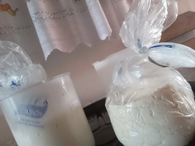 Queijo fresco feito no dia 