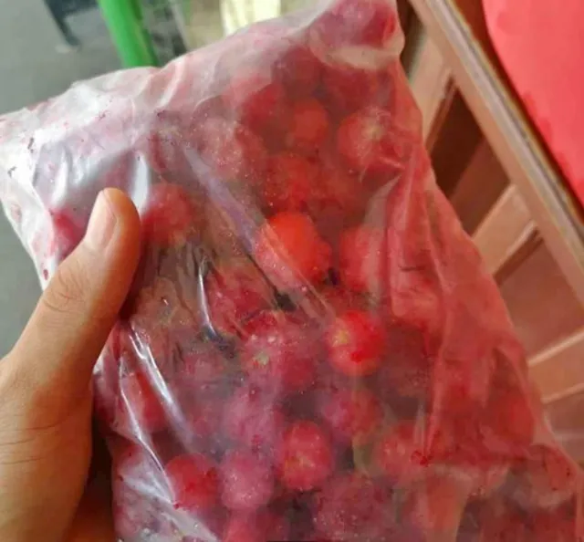 Frutas Congeladas a Domicílio 