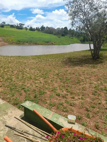 Grama já plantada em promoção leia o anúncio e faça seu orçamento 