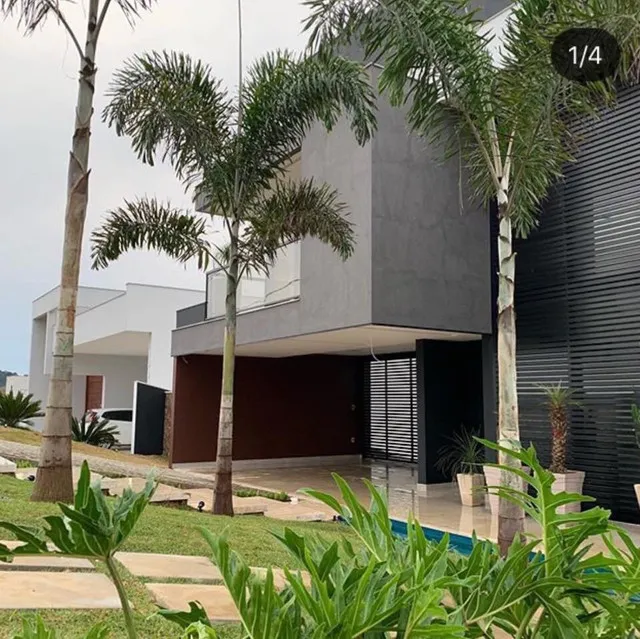 Arvores é PALMEIRAS Diferentes Daps