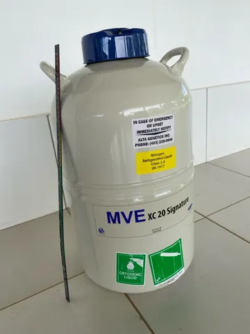 Botijão Nitrogênio para sêmen