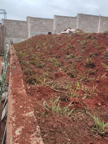 Grama apartir de 7 reais o metro plantado 
