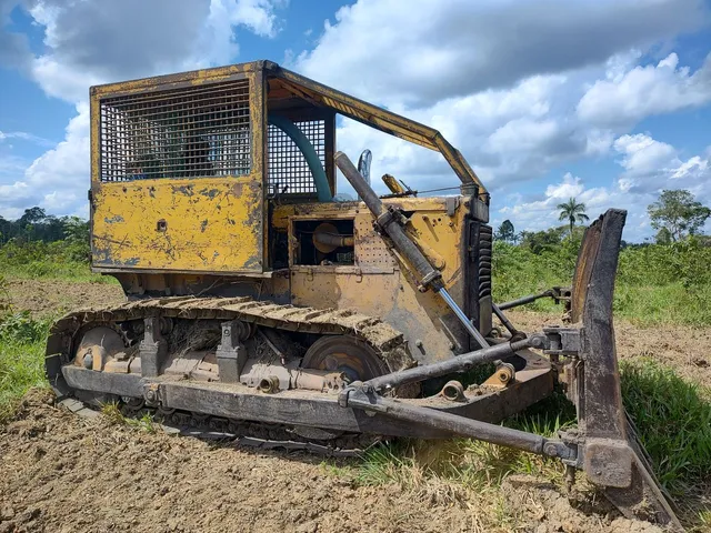D50