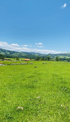 Sitio 19.3 hectares Sapopema PR