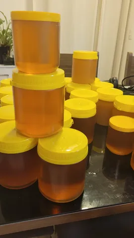 Mel puro de laranjeira - 1kg
