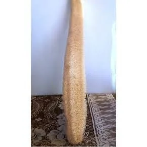 Bucha vegetal