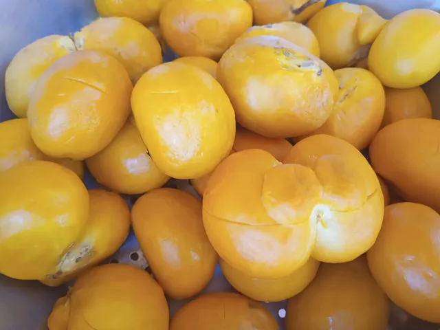 Venda de caixas de pequi 